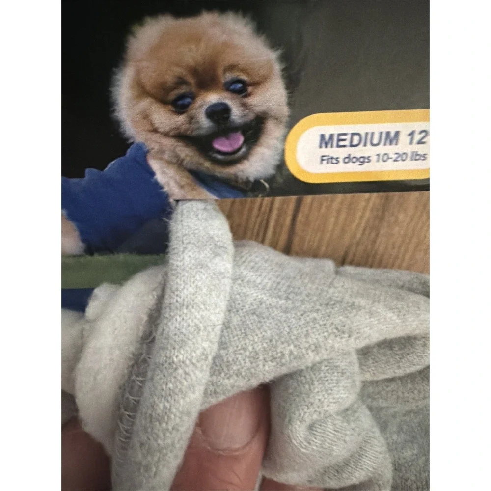 Dog Sweatshirt And Hat Nwt Size Medium Good Year Hoodie Knit Beanie Grey Blue
